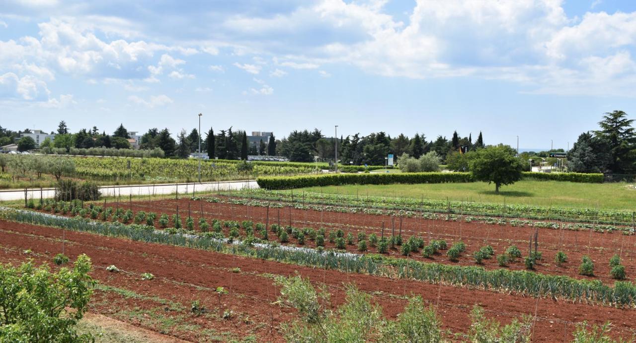 Apartman Diana Novigrad (Istria)