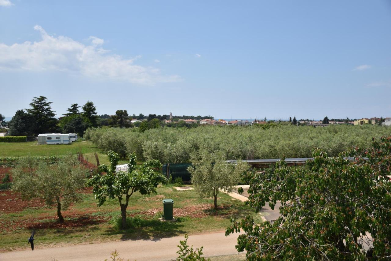 Apartman Diana *