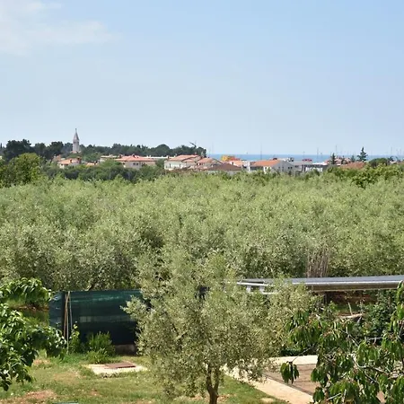 Apartmani Diana Novigrad (Istria) Exterior photo