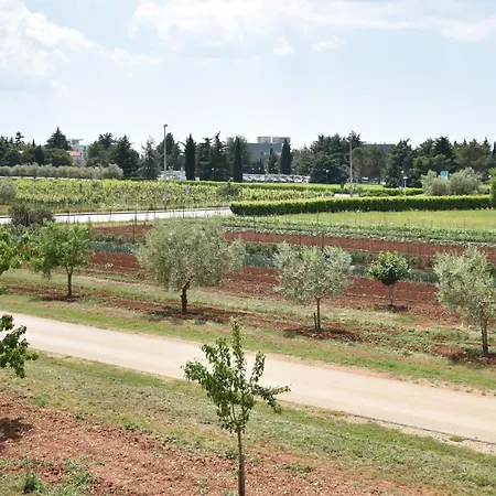 Apartmani Diana Novigrad (Istria) Exterior photo