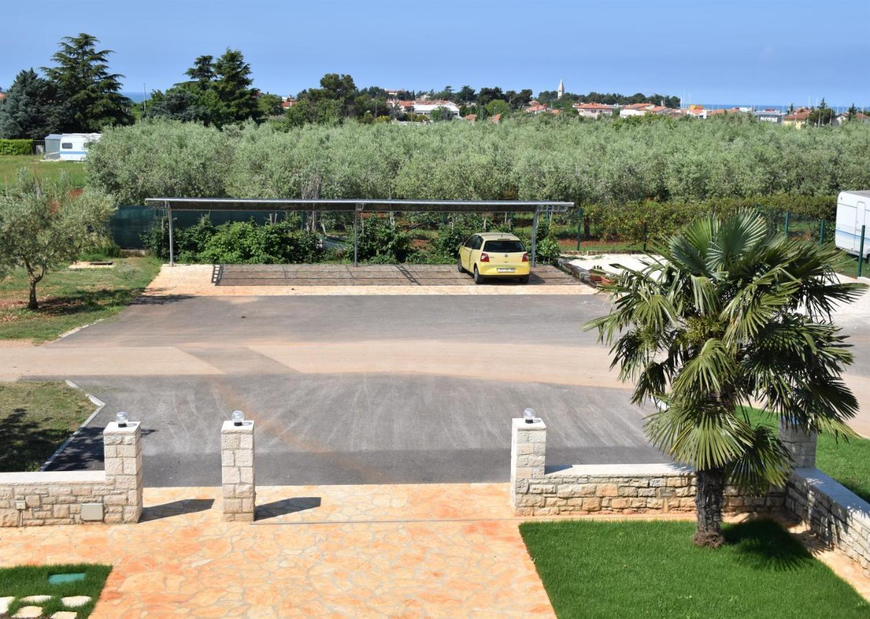 Apartment Diana Novigrad (Istria)